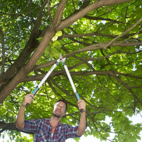 Gardena Raivaussakset Easycut 680 B